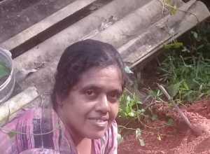 +94 77 185 5020.jpeg