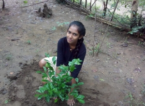 +94 77 543 5440.jpeg