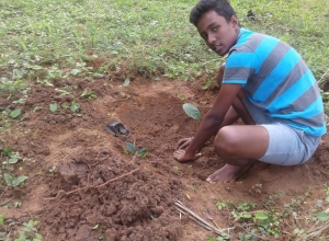 +94 70 354 8043.jpeg