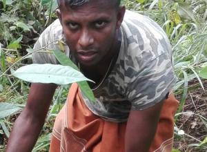 +94 76 935 0729.jpeg