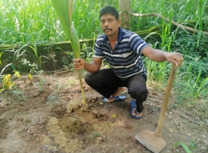 +94 77 642 3869.jpeg