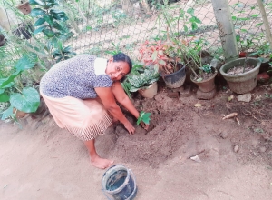 +94 77 878 3409.jpeg