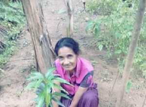 +94 78 711 1641.jpeg