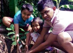 +94 71 384 2968.jpeg