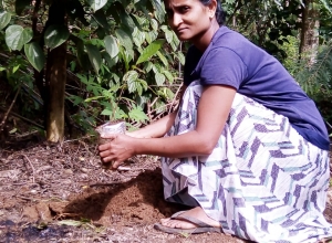 +94 76 190 7478.jpeg