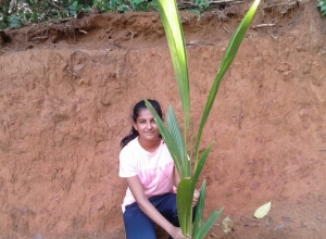 +94 77 017 5985.jpeg