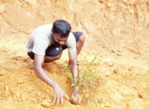 +94 77 174 3075.jpeg