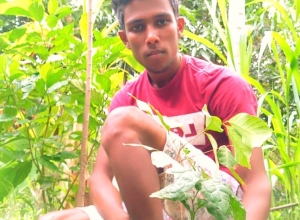 +94 77 473 3756.jpeg