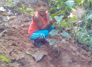 +94 77 531 1042.jpeg