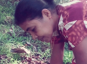 +94 78 995 5325-02.jpeg