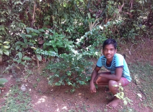 +94 70 203 9771.jpeg