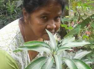 +94 76 481 5705.jpeg