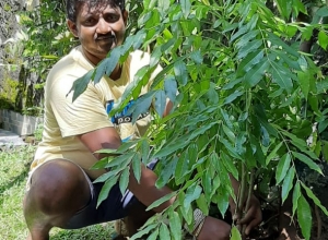 +94 77 764 6598.jpeg