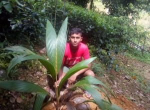 +94 70 342 5366.jpeg