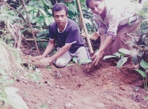 +94 75 411 0501.jpeg