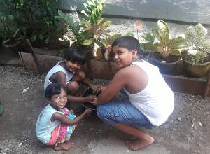 +94 75 646 9513.jpeg