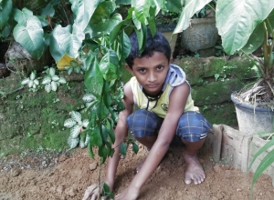 +94 76 162 5544.jpeg
