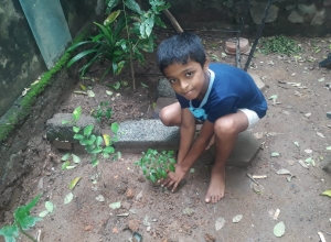 +94 77 364 8245.jpeg