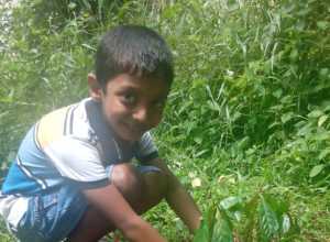 +94 71 572 8282.jpeg