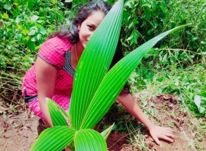 +94 76 370 6082.jpeg