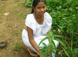 +94 76 494 8501.jpeg