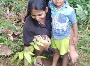 +94 77 317 7031.jpeg