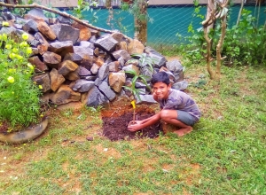 +94 71 175 5823.jpeg