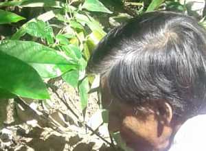 +94 77 593 3466.jpeg