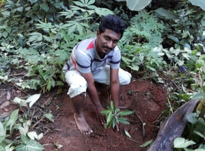 +94 71 053 3604.jpeg