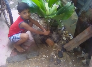 +94 75 498 6311.jpeg