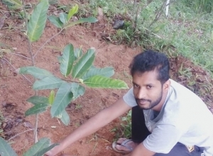 +94 76 138 1554.jpeg
