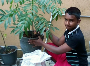 +94 76 380 2032.jpeg