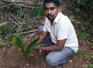 +94 77 345 2817.jpeg