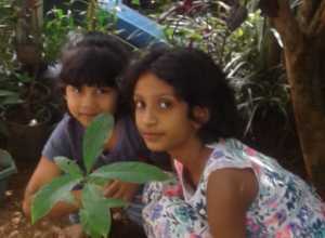 +94 71 184 6977.jpeg