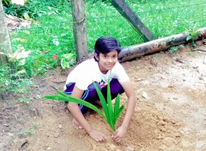 +94 71 195 8814.jpeg