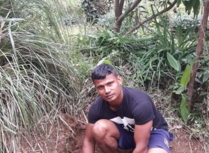 +94 77 868 6185.jpeg