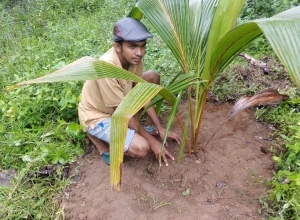 +94 71 623 8259.jpeg