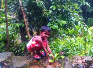 +94 76 053 2299.jpeg