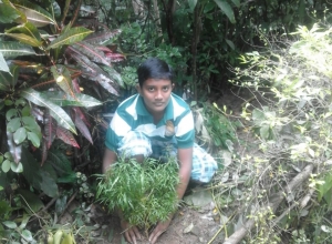 +94 75 420 2085.jpeg