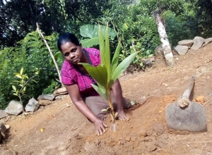+94 76 745 4366.jpeg