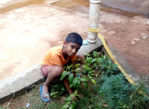 +94 77 211 1191.jpeg