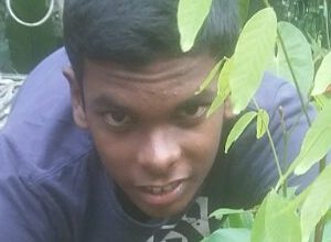 +94 77 374 8041.jpeg