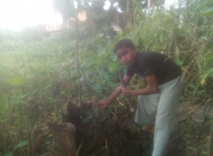 +94 77 385 3040.jpeg