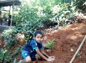 +94 78 478 9697.jpeg