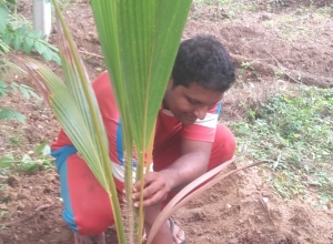 +94 70 565 8323.jpeg