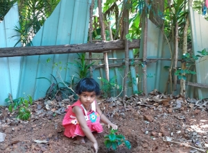 +94 71 080 7985.jpeg