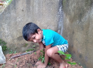 +94 75 266 5522.jpeg