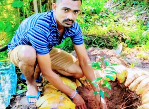 +94 77 015 6917.jpeg