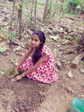 tree-planting