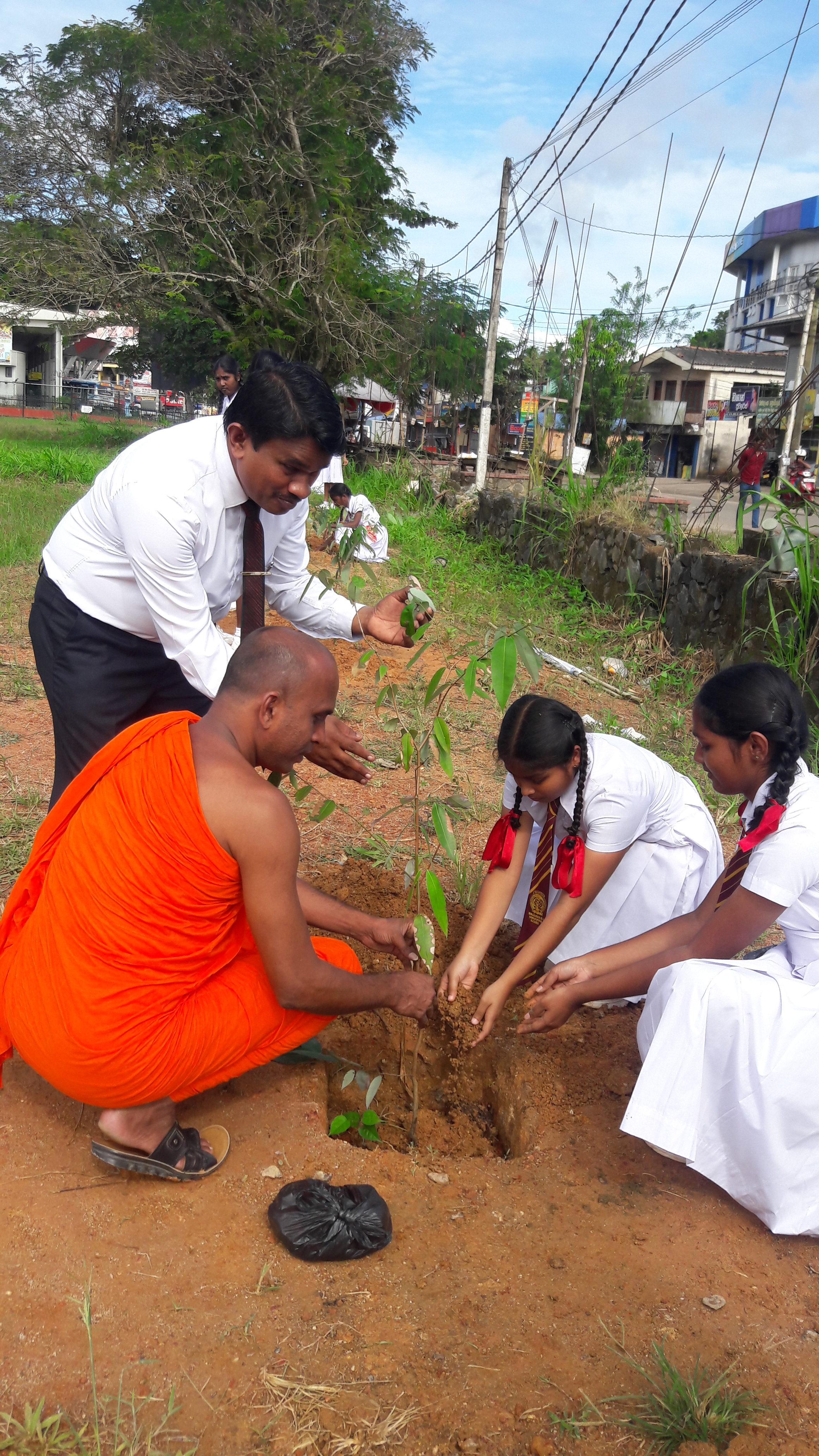 Narandeniya Tree Planting